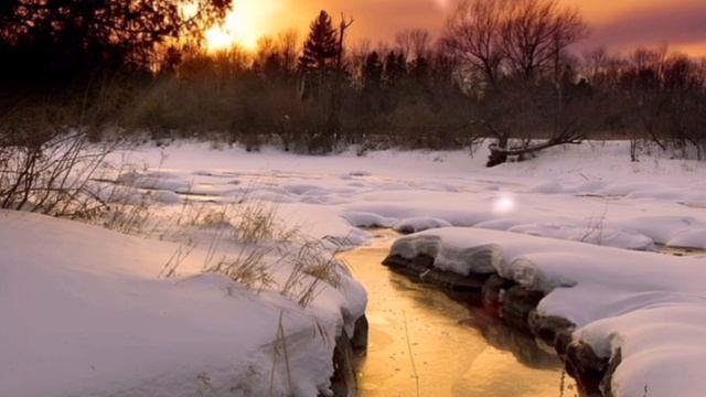 Пою Я словно бабочка к огню Мэри Сказ