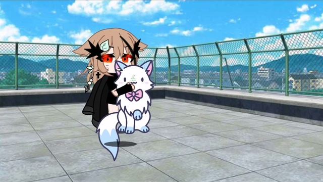 lv_0_20250608160633.mp4