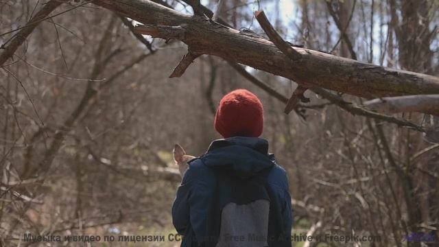 Горы, скорость и звук, который не даёт сбавить обороты! - Just Because Youre Paranoid -- Duncan Reid