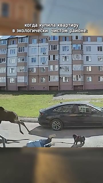 Квартиры в экологически чистом районе