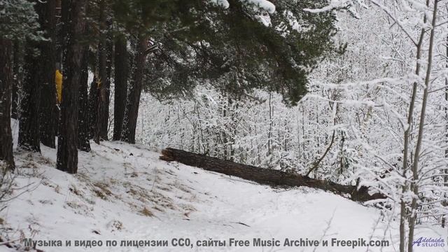 После этого клипа ты поверишь в любовь снова! - Positive and Fun -- Scott Holmes Music -- Happy Back
