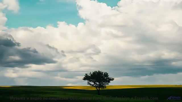 Вы не выдержите - слишком красиво и звучно сразу - Play Me a Time -- Ayla Nereo -- Play Me a Time