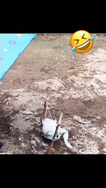 Теперь я видел всё 😅