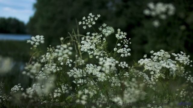 Саунд трогает глубже любых слов и описаний - 20 Minute Meditation 9 -- HoliznaCC0 -- Space - Sleep -