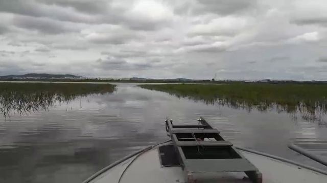 WhatsApp Video 2025-06-08 at 19.15.44