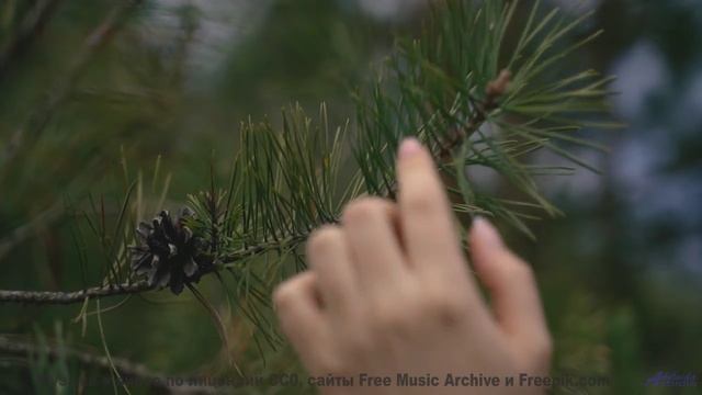 Музыка создаёт внутри личный космос из чувств - EVERYTHING WILL BE ALRIGHT -- Pipe Choir -- The Wren