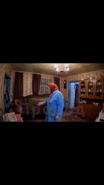 Булька