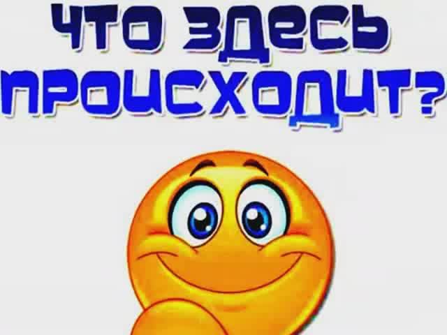 ЧТО ЗДЕСЬ ПРОИСХОДИТ