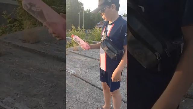 заброшка 1 серия неизвестная бутылка