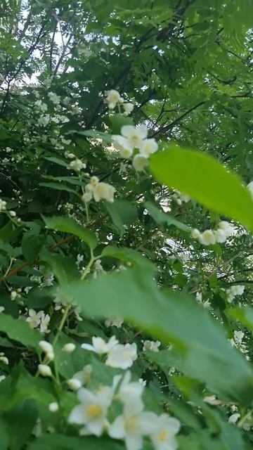 8 июня.
АСТРОЛОГИЯ ДНЯ.

Связи,контакты и общение с людьми.
Каким то образом преодолеем свои внутрен