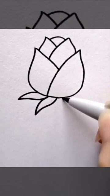 РИСОВАНИЕ РОЗА