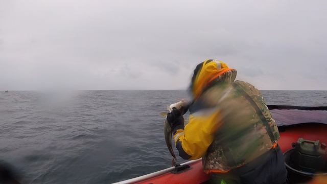 GOPR2879