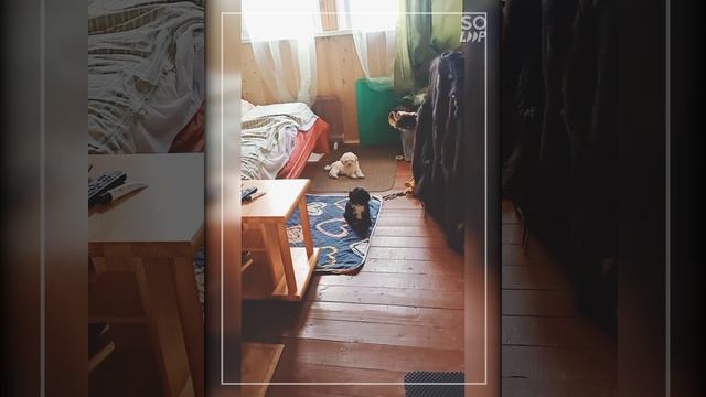 Лето началось, 2025