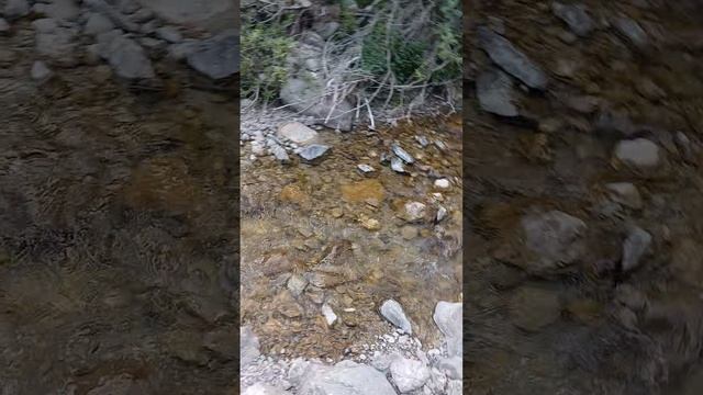 Горная река Бала