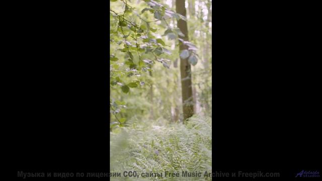 Леса и поля качают душу как буря - Love Me, Just Tonight -- Mise Darling -- Rebel