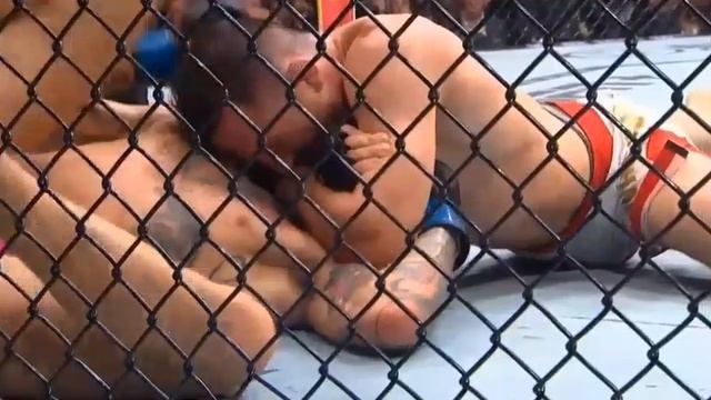 💥UFC316: Мераб Двалишвили победил удушающим Шона О’Мэлли и защитил титул в легчайшем весе!