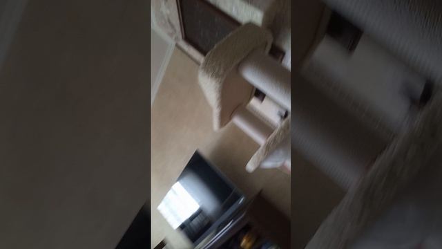 1000152079.mp4