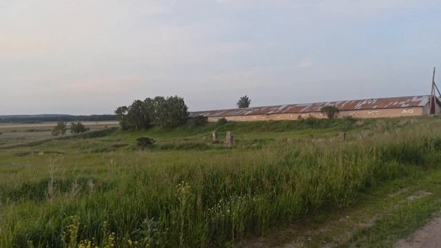 Воспоминания