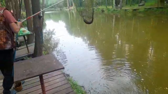 08.06.25 г. Парк отдыха водопад