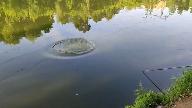 Утро Карп