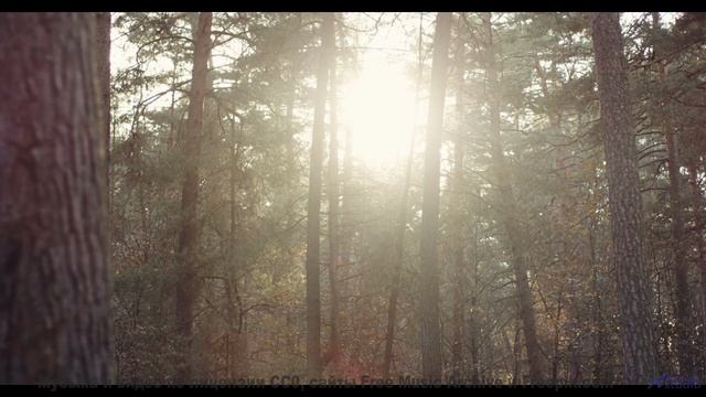 Эта композиция написана нулевой точкой вакуума - услышьте квантовый шум! - Wonder -- Ketsa -- Metaph
