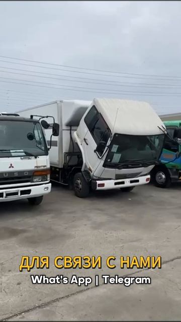 #ARAIOYAMA #sktruck #аукцион #2025cars  #automobile #japan
