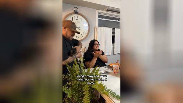 Best video of Tik Tok! 08.06.25 / 02