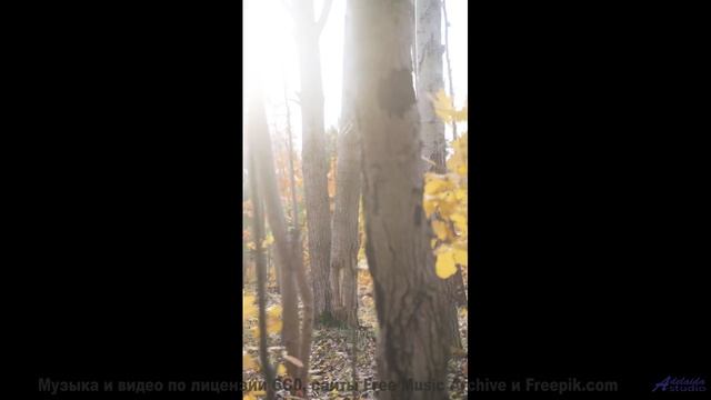 Вы не видели Землю такой, пока не услышали этот трек! - Nocturn -- M33 Project -- Unnamed album