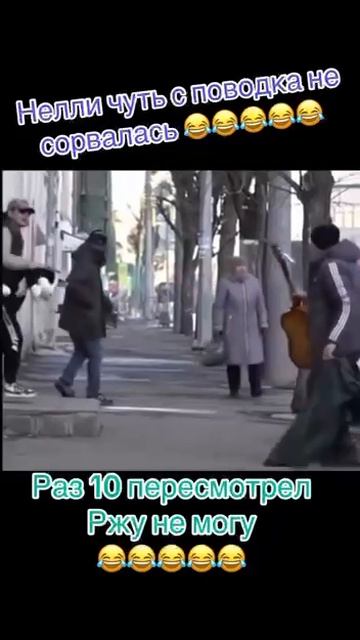Собака Нелли на руках