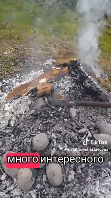 Картошка...