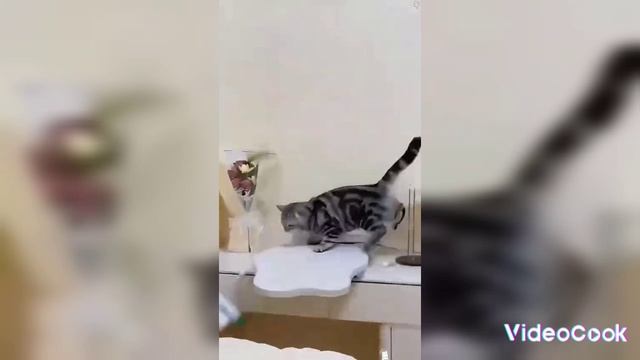 Утренний прикол