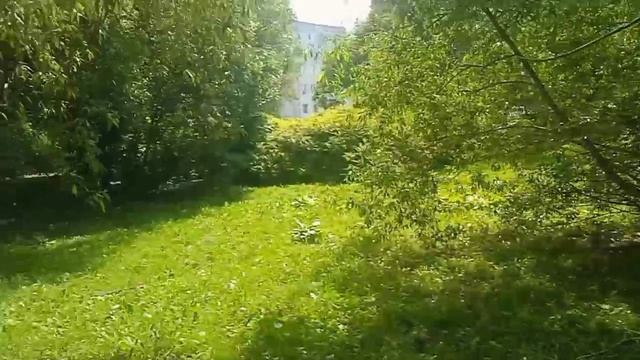 Ф.Таррега. Японская полька