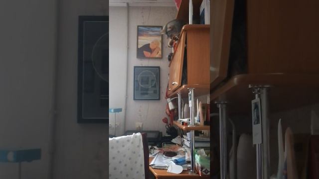 VID_20250605_095929.mp4
