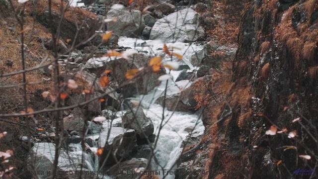 В голове остаётся только один вопрос - как такое возможно - Marigold -- Evan Schaeffer -- Afterthoug