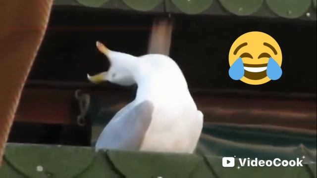 школьники перед школой