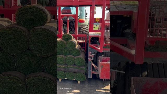 TurfTick®2316 Универсальный укладыватель Van Vuuren комбайн для рулонного газона