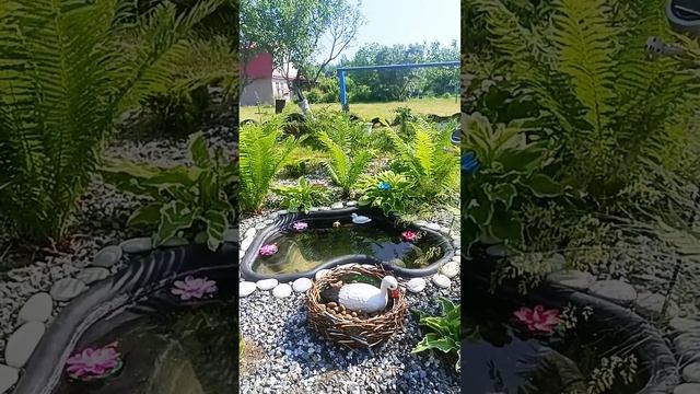 1000025194.mp4