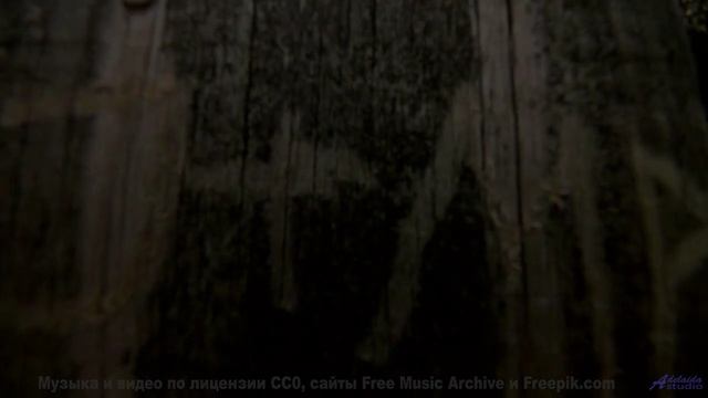 Мелодия шепчет, как звучит настоящее спокойствие - Halfway Home -- Forget the Whale -- Take to the S