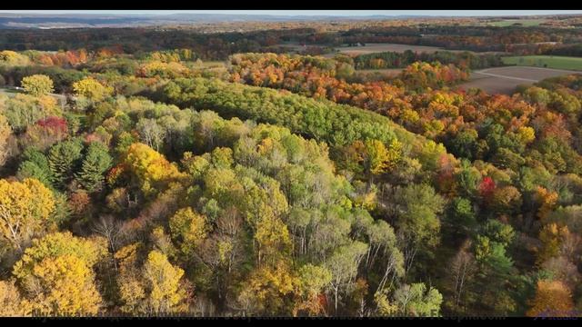 Невозможно не заслушаться под такую завораживающую картинку - Шостакович-Ростропович -- Александр Не