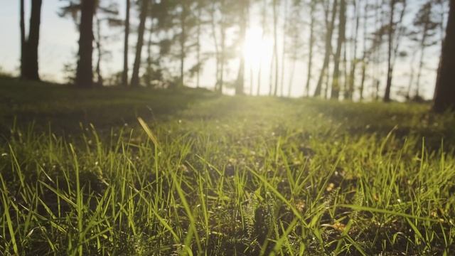1106651_1080p_4k_3840x2160