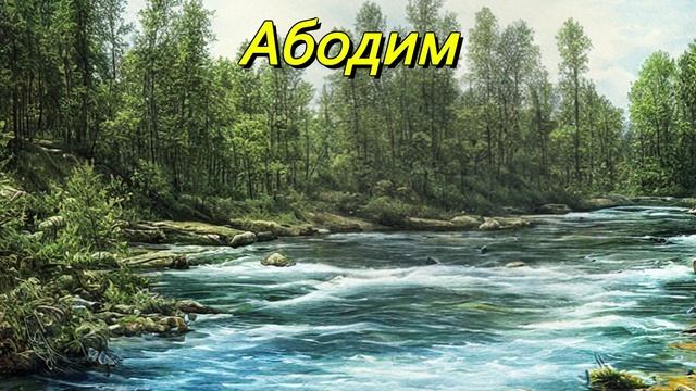 Абодим