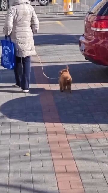 Когда понял что сегодня еще выходной 😁😁😁