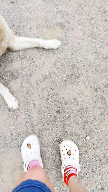 #В #дестве #ели #всё🤣🤣🤣🤣🤣