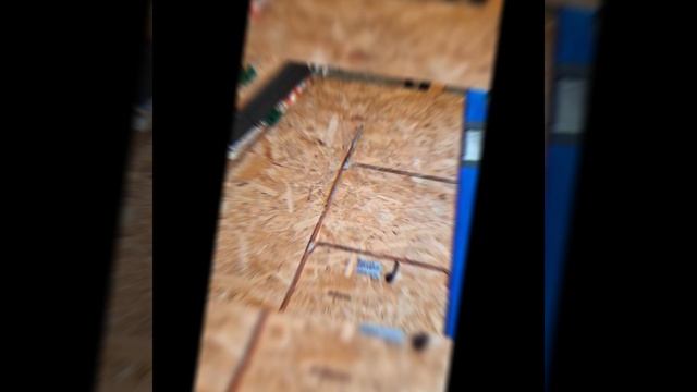 1000025836.mp4 (Собака следит за планированием приточно-вытяжной вентиляции в доме А-фрейм)
