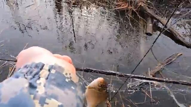 Спокойный день, не ради трофея, а для души
