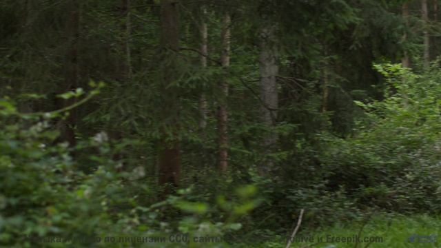 Пейзажи оживают, когда включается эта мелодия - outdated 9 -- Ov Moi Omm -- Unnamed album