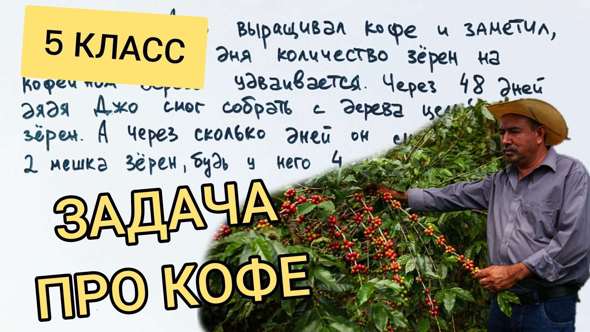 Задача про кофе, в которой ошибается какой второй