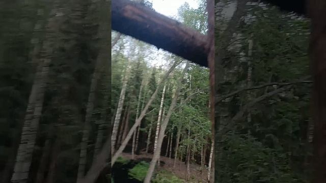 1000009634.mp4