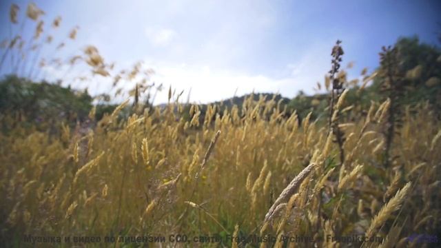 Такой красоты под такой трек вы точно не видели - Hi There -- Crowander -- Uplifting Funband (poproc