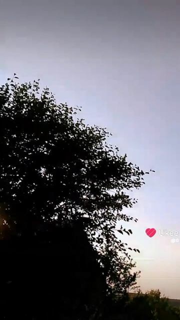 1000012161.mp4